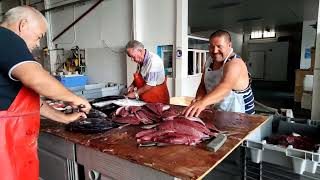 Fiestas del Carmen 2023: Arreglo del Pescado 07/07/23