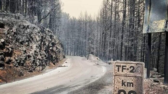 Una plataforma ciudadana recoge firmas en Change.org para que el incendio de Tenerife se suba a nivel 3 y pase a manos del Estado