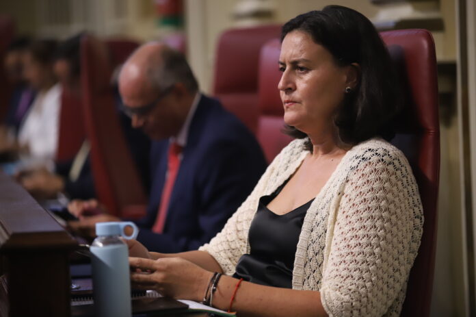 Natalia Évora: “No se debe seguir aplicando el artículo 6 bis de la Ley del Sector Eléctrico Canario de manera genérica y sin tener en cuenta la singularidad de cada territorio”