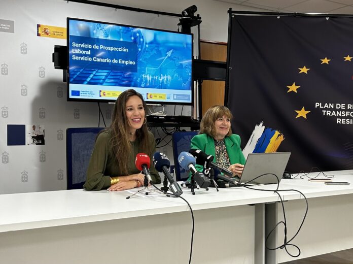 Empleo expone los resultados del primer plan para conocer mejor las necesidades de las empresas canarias