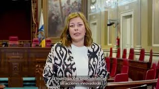 Mensaje institucional del Día de Canarias de Astrid Pérez 29/05/24