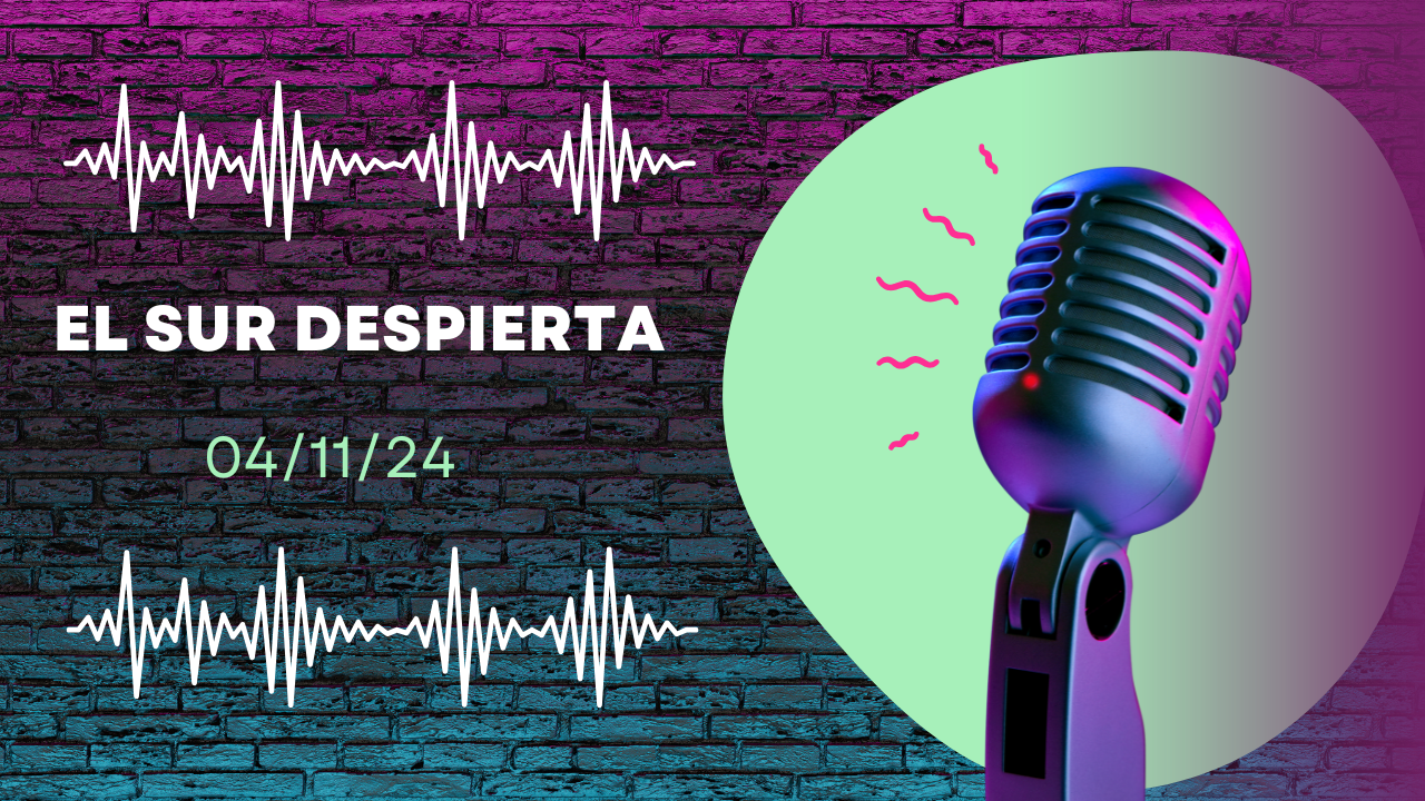 El Sur Despierta 04/11/24